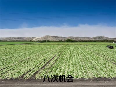 八次机会热推新书小说全文（颜知暖段意寒）全文免费阅读_八次机会最新章节无弹窗阅读