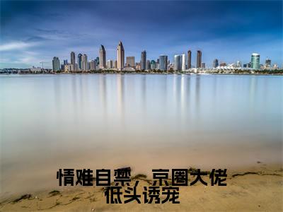 陆晏洲岑安宁（情难自禁，京圈大佬低头诱宠全文在线阅读）-陆晏洲岑安宁（情难自禁，京圈大佬低头诱宠）免费阅读