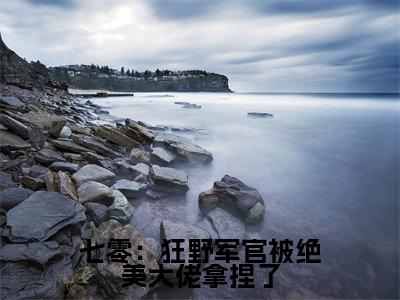 主角是陆星沉江知栀的小说全文免费阅读无弹窗大结局-《七零：狂野军官被绝美大佬拿捏了》完整章节阅读