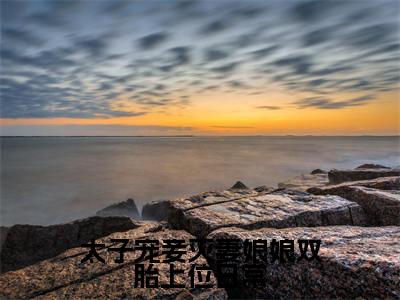 太子宠妾灭妻娘娘双胎上位日常全文免费阅读大结局_太子宠妾灭妻娘娘双胎上位日常全文免费阅读无弹窗_笔趣阁（姜时若）