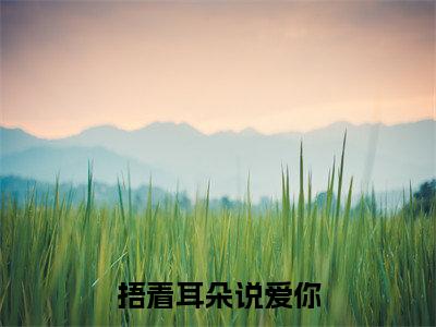 捂着耳朵说爱你（霍建安叶听兰）全文免费阅读无弹窗大结局_捂着耳朵说爱你_笔趣阁