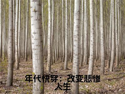 祝子期小说年代快穿:改变悲惨人生完整版阅读年代快穿:改变悲惨人生全文在线赏析