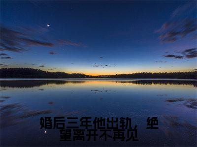 婚后三年他出轨，绝望离开不再见（何婉）全文免费阅读无弹窗_婚后三年他出轨，绝望离开不再见最新小说_笔趣阁