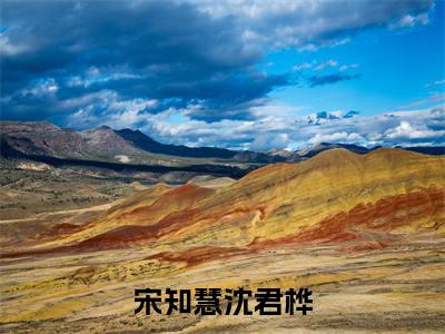 宋知慧沈君桦(宋知慧沈君桦)全文阅读无弹窗大结局_宋知慧沈君桦免费阅读无弹窗最新章节列表