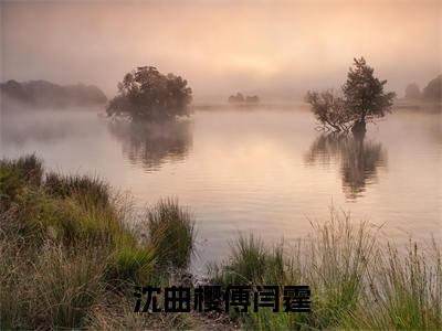 （沈曲樱傅闫霆）全文免费阅读无弹窗大结局-傅闫霆沈曲樱全文阅读无弹窗