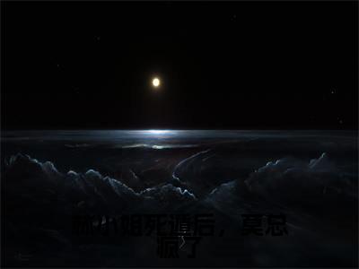 林小姐死遁后，莫总疯了（林诗雨莫修霆）全文免费阅读无弹窗大结局_林诗雨莫修霆最新章节列表