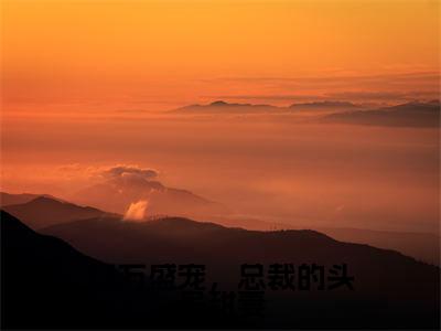 亿万盛宠，总裁的头号甜妻免费阅读无弹窗大结局-骆韶炜冉明珠（最新全章节大结局）全文阅读