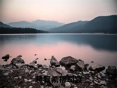 林宥希祈司宴小说全文免费阅读无弹窗-（祈司宴林宥希阅读无弹窗）穿越小说免费阅读_笔趣阁