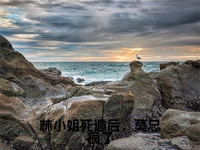 林小姐死遁后,莫总疯了(林诗雨莫修霆)全文免费阅读无弹窗大结局-林小姐死遁后,莫总疯了免费阅读全文大结局-笔趣阁