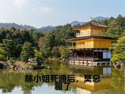林小姐死遁后,莫总疯了(莫修霆林诗雨)全文免费阅读无弹窗大结局_林小姐死遁后,莫总疯了全文完整无删减版免费阅读