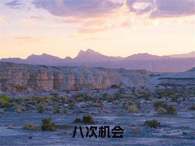 八次机会小说全文免费阅读-(颜知暖段意寒)抖音新书热荐八次机会全文免费阅读