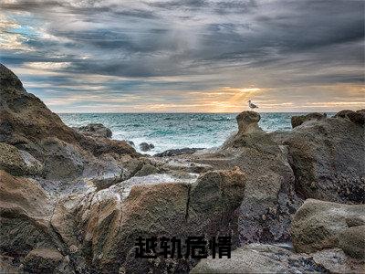 越轨危情小说尹慧-越轨危情小说在哪里可以看