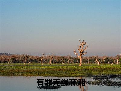 有罪无缘林湘全文小说(林湘)全文阅读-有罪无缘林湘在线小说免费阅读