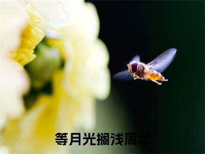 等月光搁浅周念已完结小说全集阅读（江宴深周念完整版大结局）等月光搁浅周念小说全文阅读笔趣阁