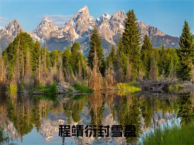 程靖衍封雪盈在线阅读(封雪盈程靖衍)全文无弹窗大结局_封雪盈程靖衍全文在线阅读无弹窗