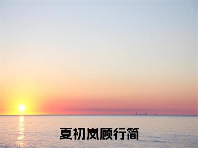 夏初岚顾行简全文免费阅读无弹窗_（夏初岚顾行简）全文在线阅读大结局