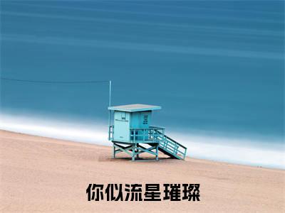 你似流星璀璨（顾宴承佟余晚）小说全文免费阅读无弹窗大结局_顾宴承佟余晚全文免费阅读