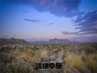 主角是季暖沈律的小说（沈律季暖）-（沈律季暖）季暖沈律全文免费阅读无弹窗大结局笔趣阁