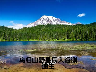 鸟归山野星辰入海谢逾生夏眠莺谢逾生免费阅读无弹窗最新章节列表-(鸟归山野星辰入海谢逾生)夏眠莺谢逾生全文免费阅读大结局笔趣阁
