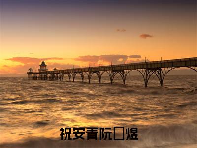 祝安青阮玥煜(祝安青阮玥煜)小说全文免费阅读-祝安青阮玥煜小说最新章节完整版