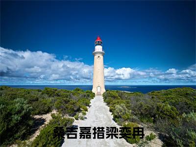 梁奕冉桑吉嘉措小说大结局全文免费阅读-抖音小说桑吉嘉措梁奕冉