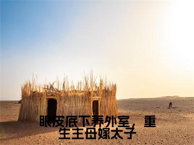 眼皮底下养外室，重生主母嫁太子（江楚薇林慕珩）全文免费读无弹窗大结局_江楚薇林慕珩免费小说无弹窗最新章节列表