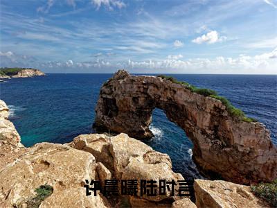陆时言许晨曦小说（许晨曦陆时言）完整版大结局-许晨曦陆时言小说免费阅读