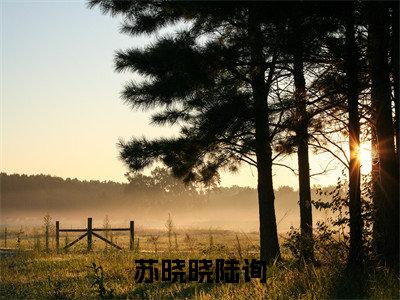 陆询苏晓晓书名是《苏晓晓陆询》在线赏析_苏晓晓陆询热门推荐阅读笔趣阁