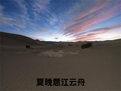 夏晚意江云舟(江云舟夏晚意)全文免费读无弹窗大结局_江云舟夏晚意免费小说无弹窗最新章节列表