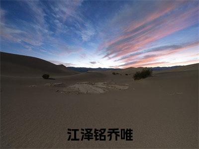 江泽铭乔唯(乔唯江泽铭)小说全文免费阅读无弹窗大结局_(乔唯江泽铭免费阅读)江泽铭乔唯最新章节列表笔趣阁