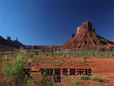 陆与洲宋轻语小说在线阅读全文无弹窗大结局_又一个寂寞冬夏宋轻语小说免费最新章节列表（全文）+（后续）