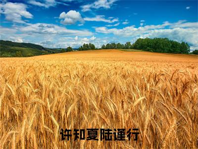 许知夏陆谨行小说全文免费阅读无弹窗大结局_(许知夏陆谨行全文免费阅读)许知夏陆谨行最新章节列表笔趣阁
