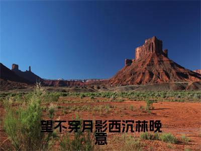 望不穿月影西沉林晚意（顾南辰林晚意）小说精彩免费内容_望不穿月影西沉林晚意（顾南辰林晚意）最新章节全文阅读大结局