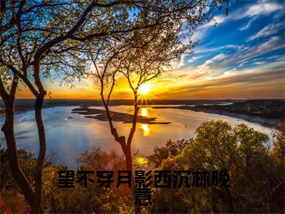 望不穿月影西沉林晚意全文免费阅读无弹窗大结局_顾南辰林晚意最新章节列表笔趣阁