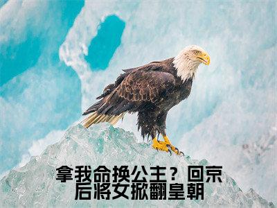 拿我命换公主？回京后将女掀翻皇朝在线阅读（谢知晏云锦）全文无弹窗大结局_谢知晏云锦全文在线阅读无弹窗