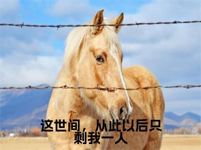 这世间，从此以后只剩我一人全文免费阅读无弹窗大结局_段渠沈知星最新章节列表笔趣阁