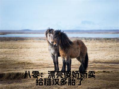 八零：漂亮傻娇娇卖给糙汉多胎了（叶小珍）全文免费阅读_（八零：漂亮傻娇娇卖给糙汉多胎了）免费阅读无弹窗最新章节列表