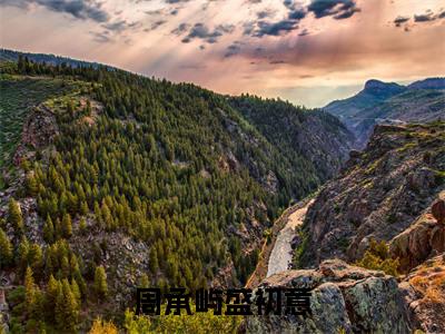 周承屿盛初意(盛初意周承屿)免费阅读无弹窗大结局-周承屿盛初意免费阅读大结局最新章节列表_笔趣阁
