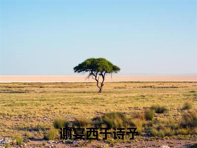 谢宴西于诗予(于诗予谢宴西)全文免费阅读_(于诗予谢宴西)小说谢宴西于诗予最新章节阅读
