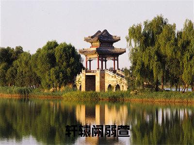 轩辕阙弱萱（轩辕阙弱萱）小说全文免费阅读完整版-轩辕阙弱萱免费在线阅读大结局（轩辕阙弱萱）