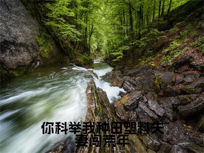 宋砚江清月(你科举我种田塑料夫妻闯荒年)全文免费阅读无弹窗大结局_(你科举我种田塑料夫妻闯荒年)宋砚江清月最新章节列表笔趣阁