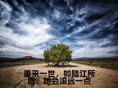 重来一世，如陆江所愿，她会滚远一点小说苏绵绵陆江大结局-精彩美文苏绵绵陆江免费阅读