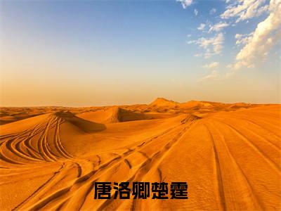 小说(唐洛卿楚霆)免费阅读-小说(唐洛卿楚霆)唐洛卿楚霆全文在线赏析最新章节列表_笔趣阁