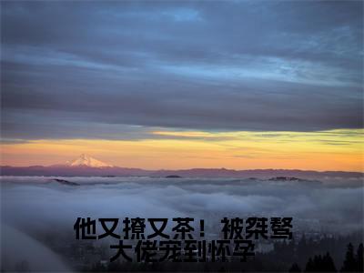 【新书】《谢京墨虞之琬》他又撩又茶！被桀骜大佬宠到怀孕全文全章节免费阅读
