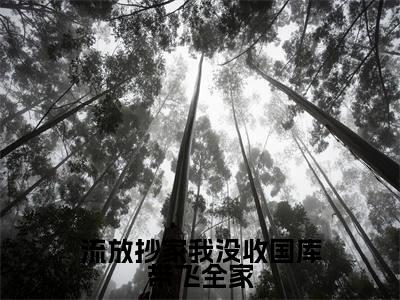 流放抄家我没收国库带飞全家（林汐研）小说全文免费阅读正版无弹窗_（林汐研）最新章节列表笔趣阁