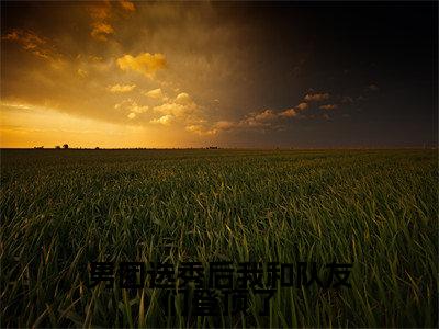 方朗星是什么小说-（男团选秀后我和队友们登顶了全文阅读）最新章节列表（番外）+（全文）