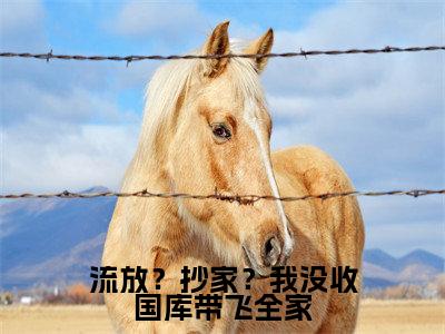（林汐研）流放？抄家？我没收国库带飞全家小说小说免费林汐研读无弹窗最新章节列表_笔趣阁（流放？抄家？我没收国库带飞全家）