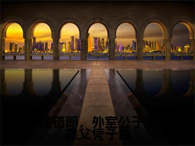 沈幼薇沈辰安小说全文免费阅读_沈幼薇沈辰安(嫁错郎,外室公子全靠父凭子贵)最新章节列表笔趣阁