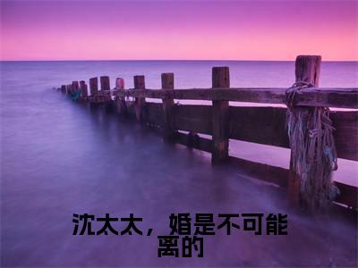 沈太太，婚是不可能离的精选小说大结局阅读_（沈青石秦子衿）沈太太，婚是不可能离的免费阅读最新章节列表