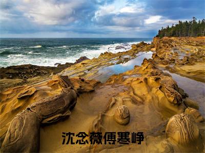 沈念薇傅寒峥（沈念薇傅寒峥）全文免费阅读无弹窗大结局_沈念薇傅寒峥最新章节列表_笔趣阁（沈念薇傅寒峥）